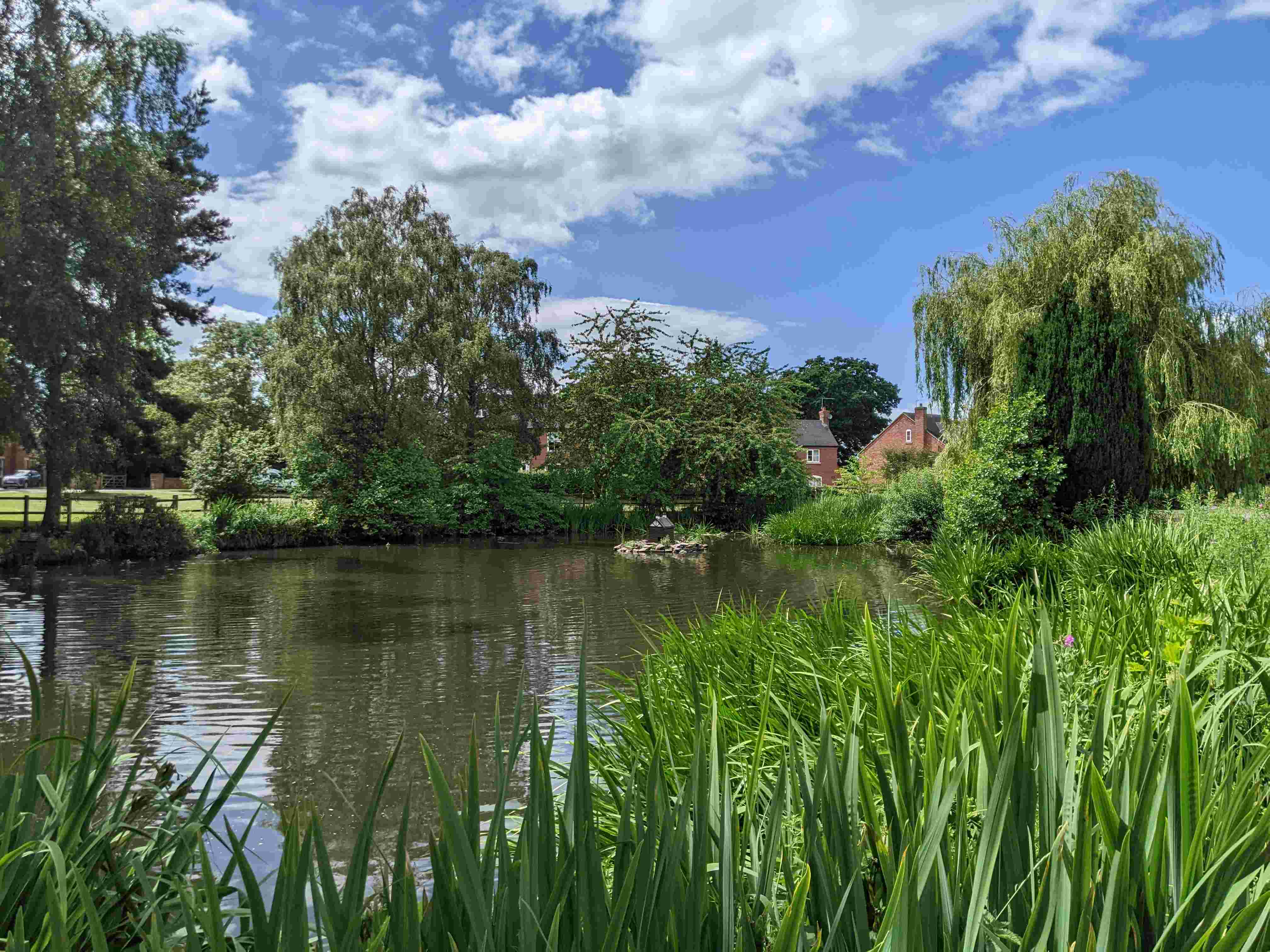 Village Pond June 2023